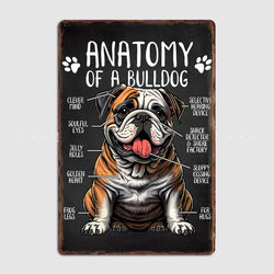 Anatomy of a Bulldog Dog Metal Sign Tin Sign Poster