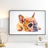 French Bulldog Paint Face Print Wall Art