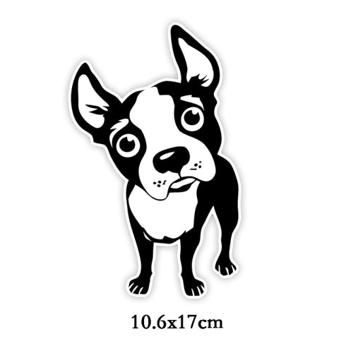 Boston Terrier Cartoon Tilting Head Sticker