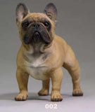 Detailed French Bulldog Standing 1/6 Scale Figurine Collectibles