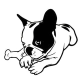 French Bulldog Chewing Bone Decal Sticker