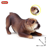Small English Bulldog Detailed Model Figurine