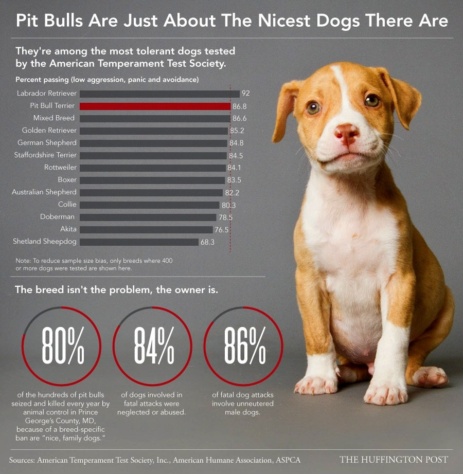 Pitbull Myths and Facts