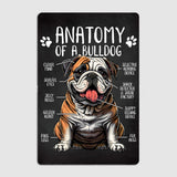 Anatomy of a Bulldog Dog Metal Sign Tin Sign Poster