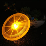 Night Luminous Light Flying Disc Dog Frisbee