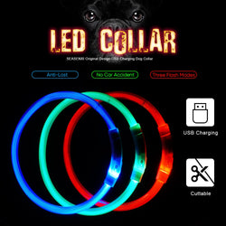 LED Tube Flashing Light USB Charging Pet Dog Collar