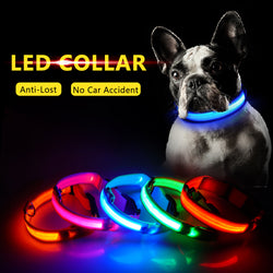 Nylon Glow Rechargeable Flashing LED Dog Collar
