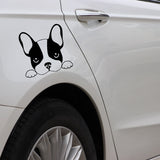 French Bulldog Looking Over Sticker