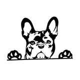 French Bulldog Outline Drawing Looking Over Sticker