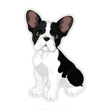 Black White French Bulldog Sitting Colored Sticker