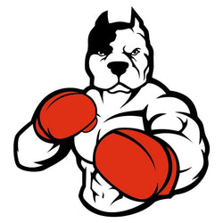 Boxing Pit Bull Sticker
