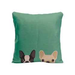 Two French Bulldogs Peaking From Bottom Teal Pillowcase