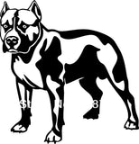 Pit Bull Normal Stance Long Crop Ear No Tail Sticker (7.9", 22.4")
