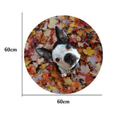 English Bulldog Puppy Looking Up Round Doormat
