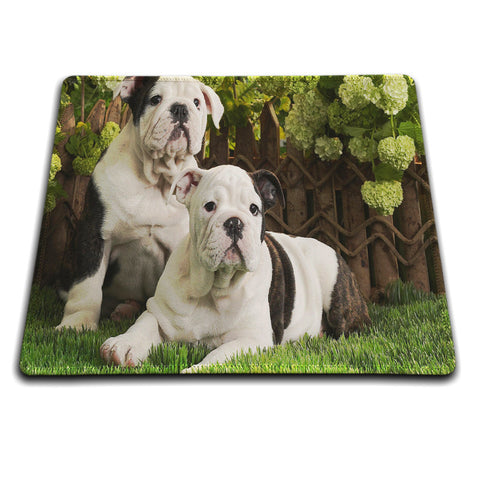 Two English Bulldogs Hanging Out Mouse Pad