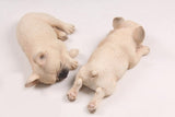 Realistic Detailed Sleeping French Bulldog Figurine Collection 2PC Set