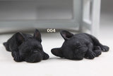 Realistic Detailed Sleeping French Bulldog Figurine Collection 2PC Set