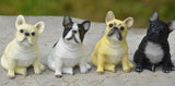 Detailed Light Tan French Bulldog Resin Collection Figurine