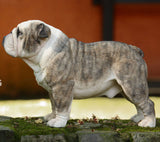 Detailed Realistic English Bulldog 1/4 Scale Figurine Decoration