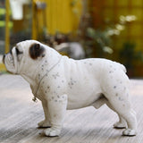 Detailed Realistic English Bulldog 1/4 Scale Figurine Decoration
