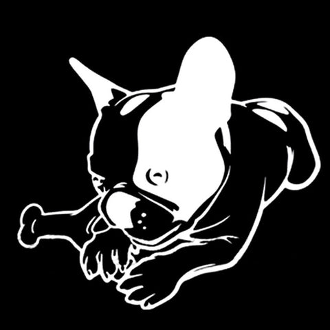 French Bulldog Chewing Bone Decal Sticker