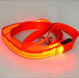 Nylon Glowing Flashing Light Up LED Dog Leash