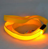 Nylon Glowing Flashing Light Up LED Dog Leash