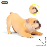 Small English Bulldog Detailed Model Figurine